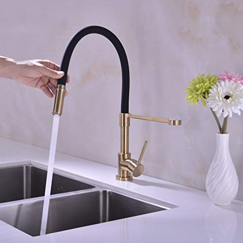 Gold and Black Kitchen Faucet