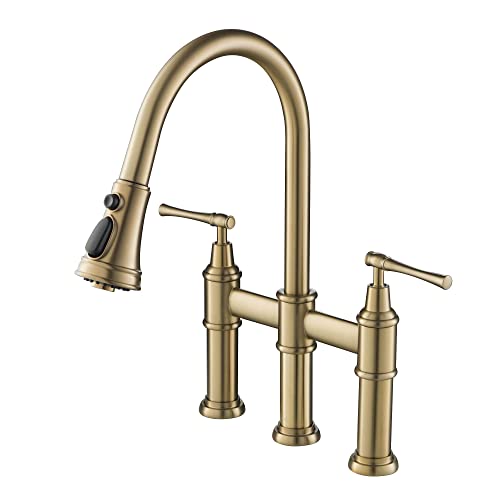 Allyn Transitional Bridge Kitchen Faucet with Pull