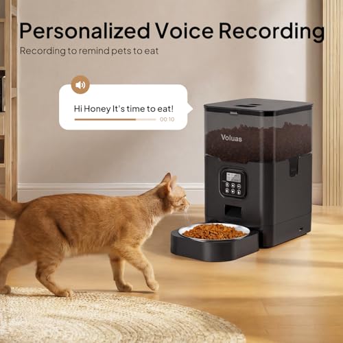 Automatic Cat Feeder