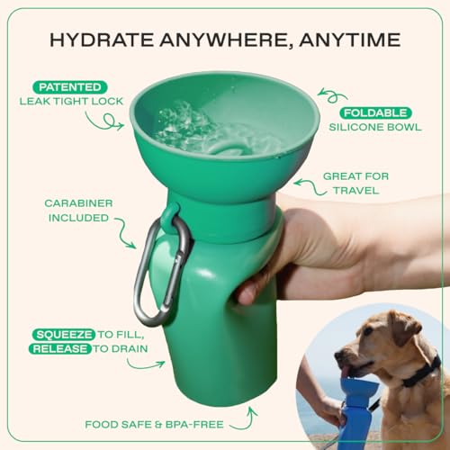 Springer Flip Dog Water Bottle