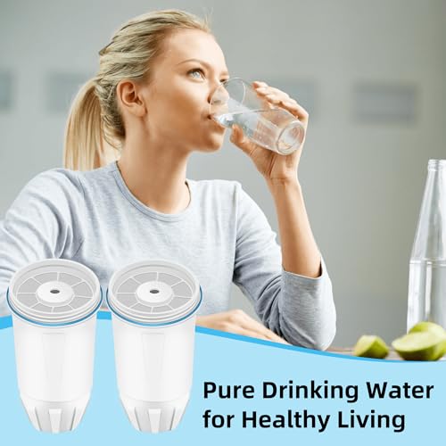Water Filter Replacement for Zero (4 Count)