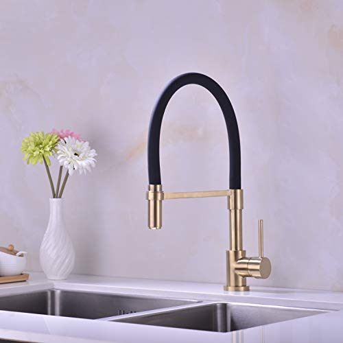 Gold and Black Kitchen Faucet