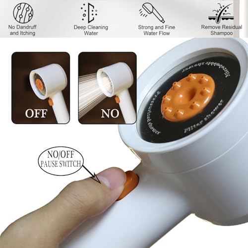 High Pressure Shower Head with Handheld