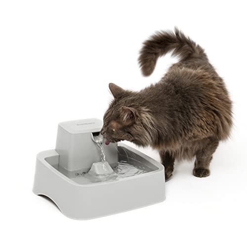 Oasys Pet Fountain