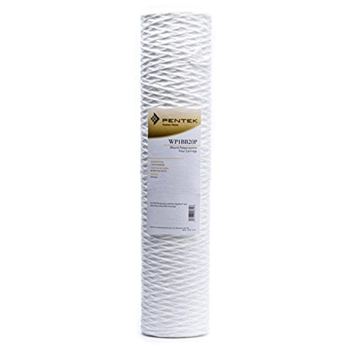 Pentair Pentek WP1BB20P Big Blue Sediment Water Filter