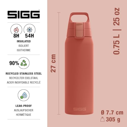 Insulated Water Bottle