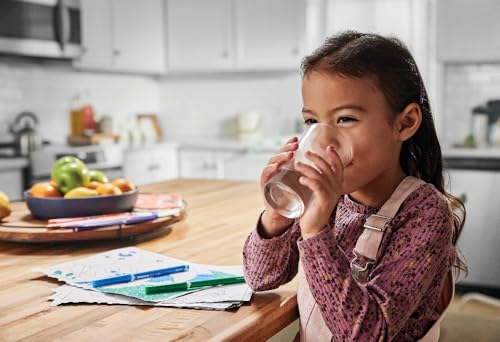 WF2CB PureSource 2® Water Filter