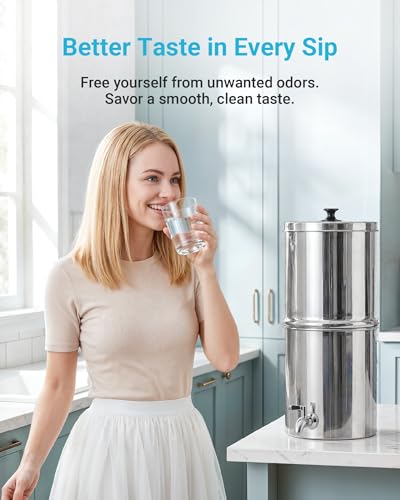 Gravity Water Filter (2 Count)