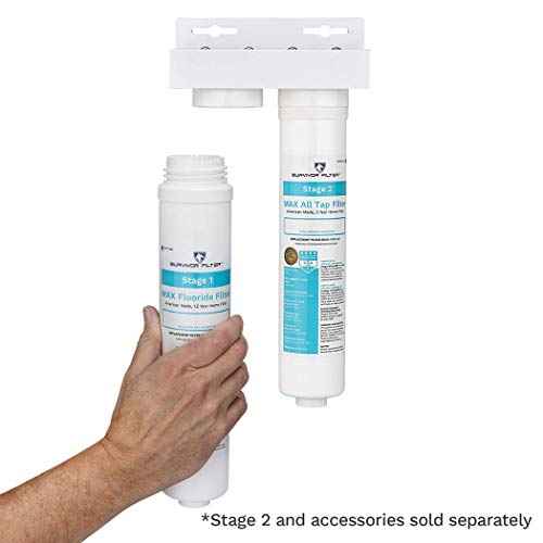 Max Stage 1 Fluoride