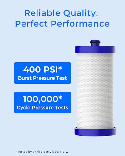 WF1CB Refrigerator Water Filter (3 Count)