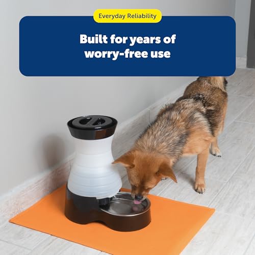 Healthy Pet Water Station
