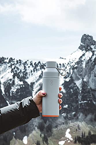 Original 17oz Stainless Steel Water Bottle