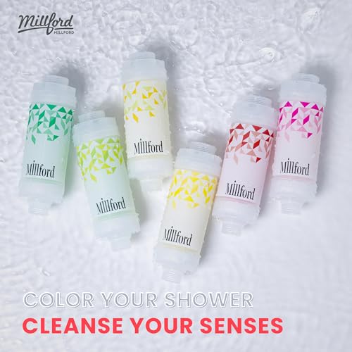 Vitamin C Shower Filter