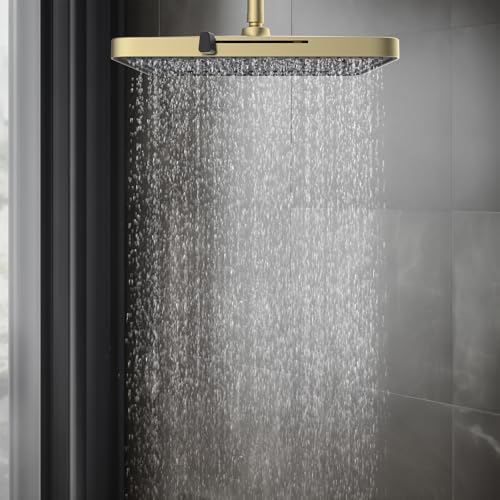 5 Spray Modes Shower Head