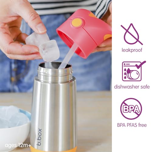 Insulated Water Bottle for Kids