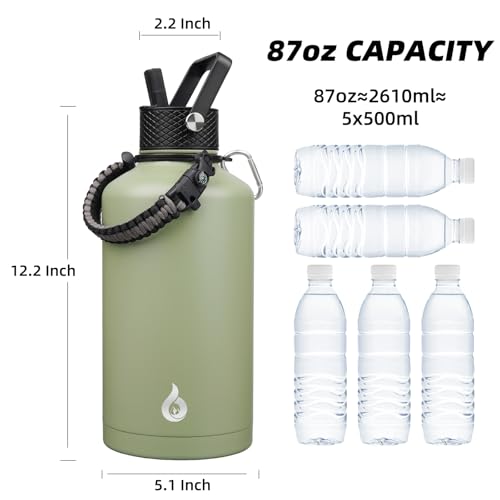 87oz Insulated Water Bottle with Straw Lid Stainless Steel Water Jug