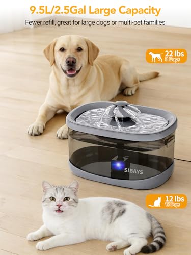 9.5L Dog Water Fountain for Large Dogs