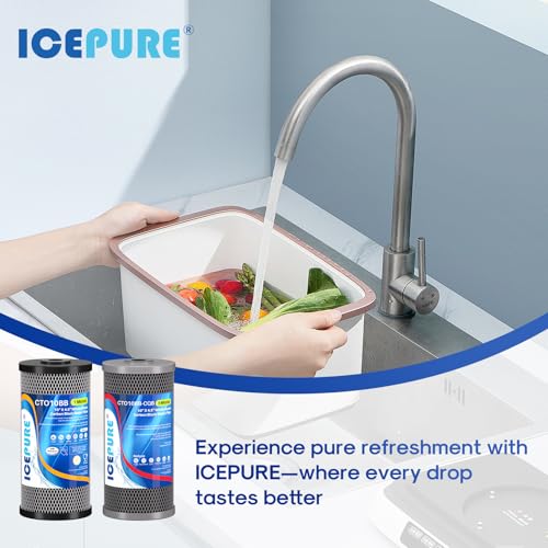 2 Stage 10" x 4.5" Whole House Carbon Water Filter Set (2 Count)