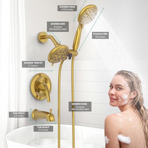 Dual 2 in 1 Shower System with Tub Spout