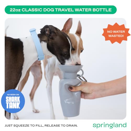 Springer Dog Water Bottle
