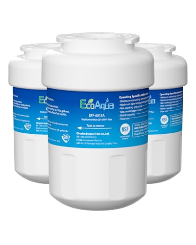 EFF 6013A Water Filter (3 Count)