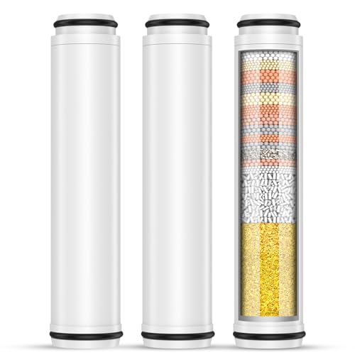 Shower Filter for Handheld Shower Head (3 Count)