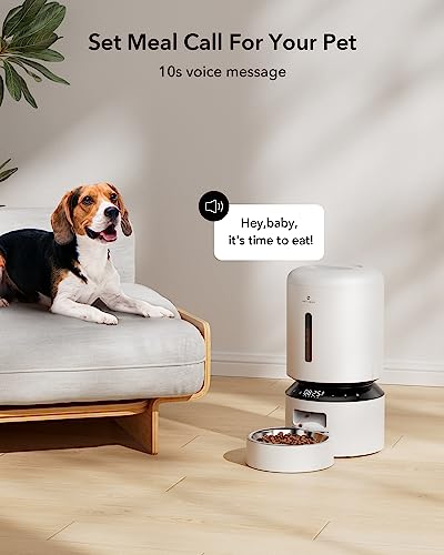 Automatic Cat Feeder
