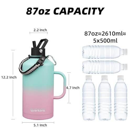 87oz Insulated Water Bottle with Straw Lid Stainless Steel Water Jug