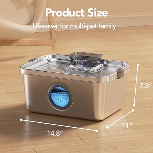 Dog Water Fountain