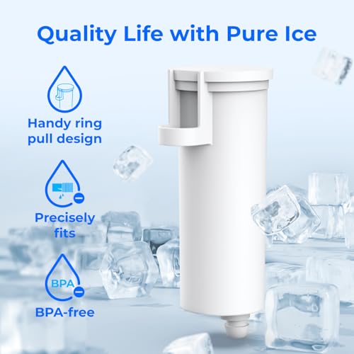 C33 Ice Maker Filter