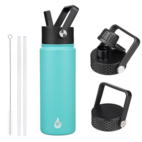 22oz Insulated Water Bottle with Straw Lid