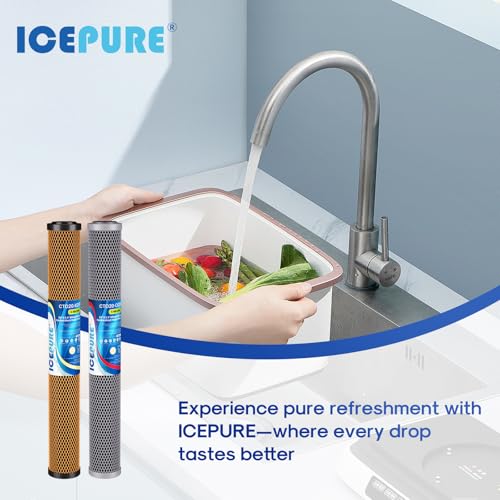 2.5"x 20" Whole House Water Filter (2 Count)