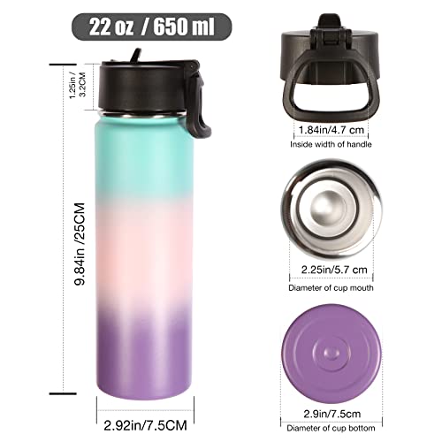 22 oz Insulated Water Bottles with Straw Lid