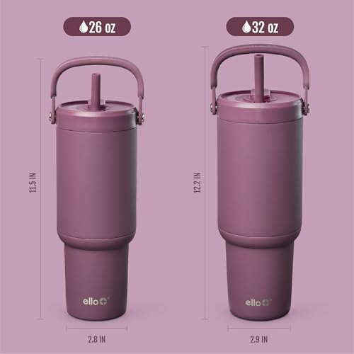 Oasis Go+ 32oz Insulated Stainless Steel Tumbler with Straw
