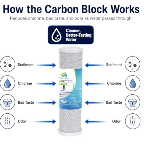 10"x2.5" CTO Water Filters Compatible for CB3 (4 Count)
