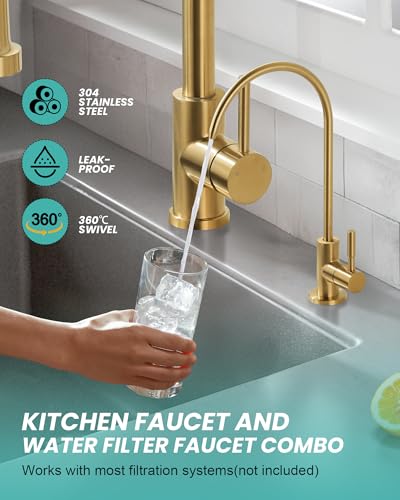 Kitchen Faucet and Water Filter Faucet