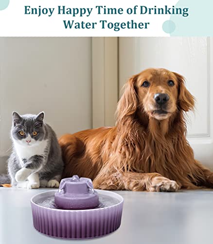 Ceramic Cat Water Fountain