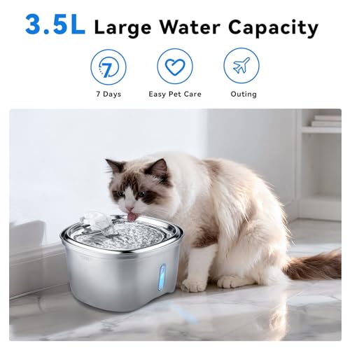 Cat Water Fountain Stainless Steel