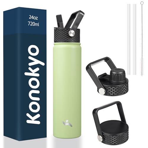 24 oz Insulated Stainless Steel Water Bottle with Straw Lid