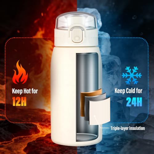 Insulated Water Bottle 12 oz with Dustproof Lid