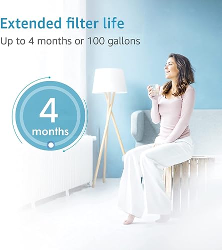Faucet Water Filter (3 Count)