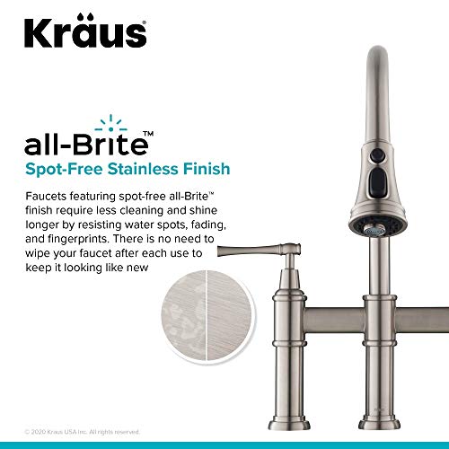 Allyn Transitional Bridge Kitchen Faucet with Pull