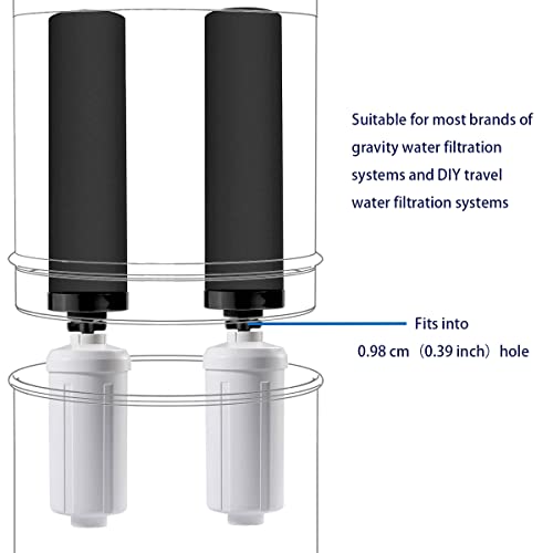Black Water Filtration System with Fluoride Filters for Purification