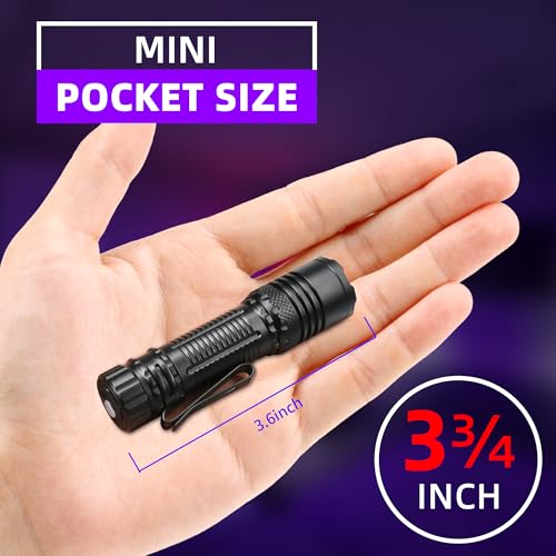 UV Flashlight 395nm Black Light
