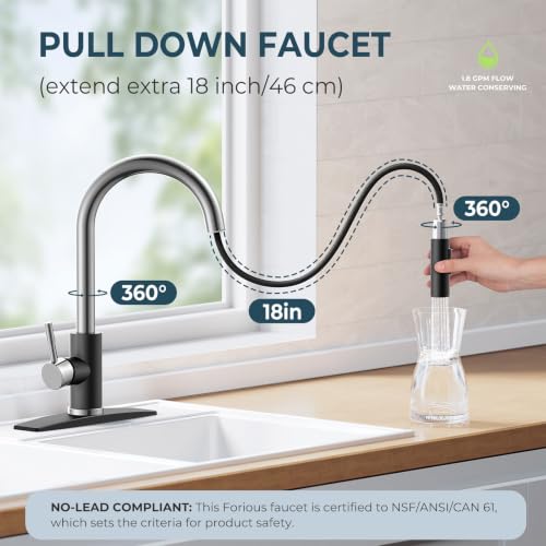 Kitchen Sink Faucet with Pull Down Sprayer