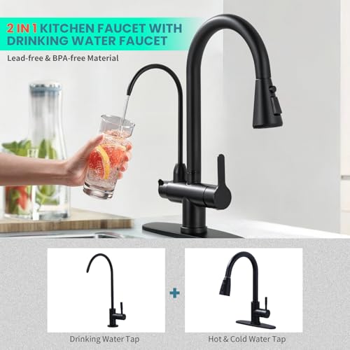 Kitchen Faucet with Water Filter Faucet