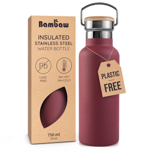 24 oz Insulated Water Bottle