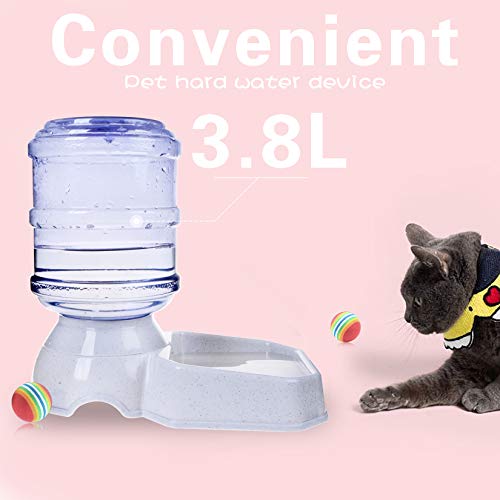 Pet Water Dispenser Station