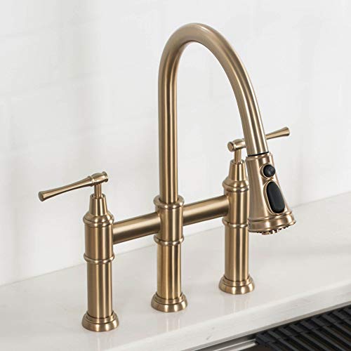Allyn Transitional Bridge Kitchen Faucet with Pull