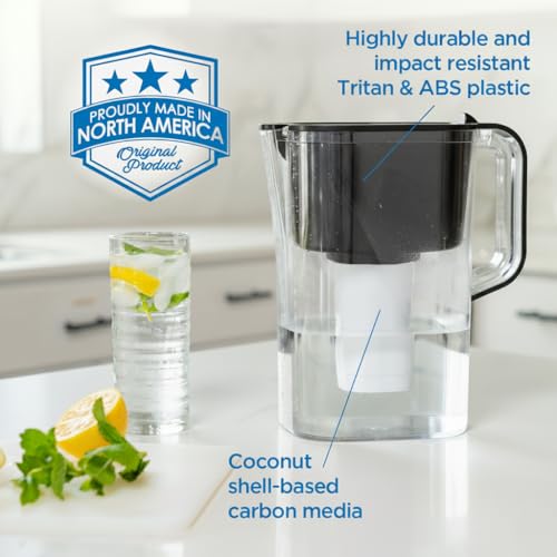 HOMEWATER 10 Cup Pitcher Filter